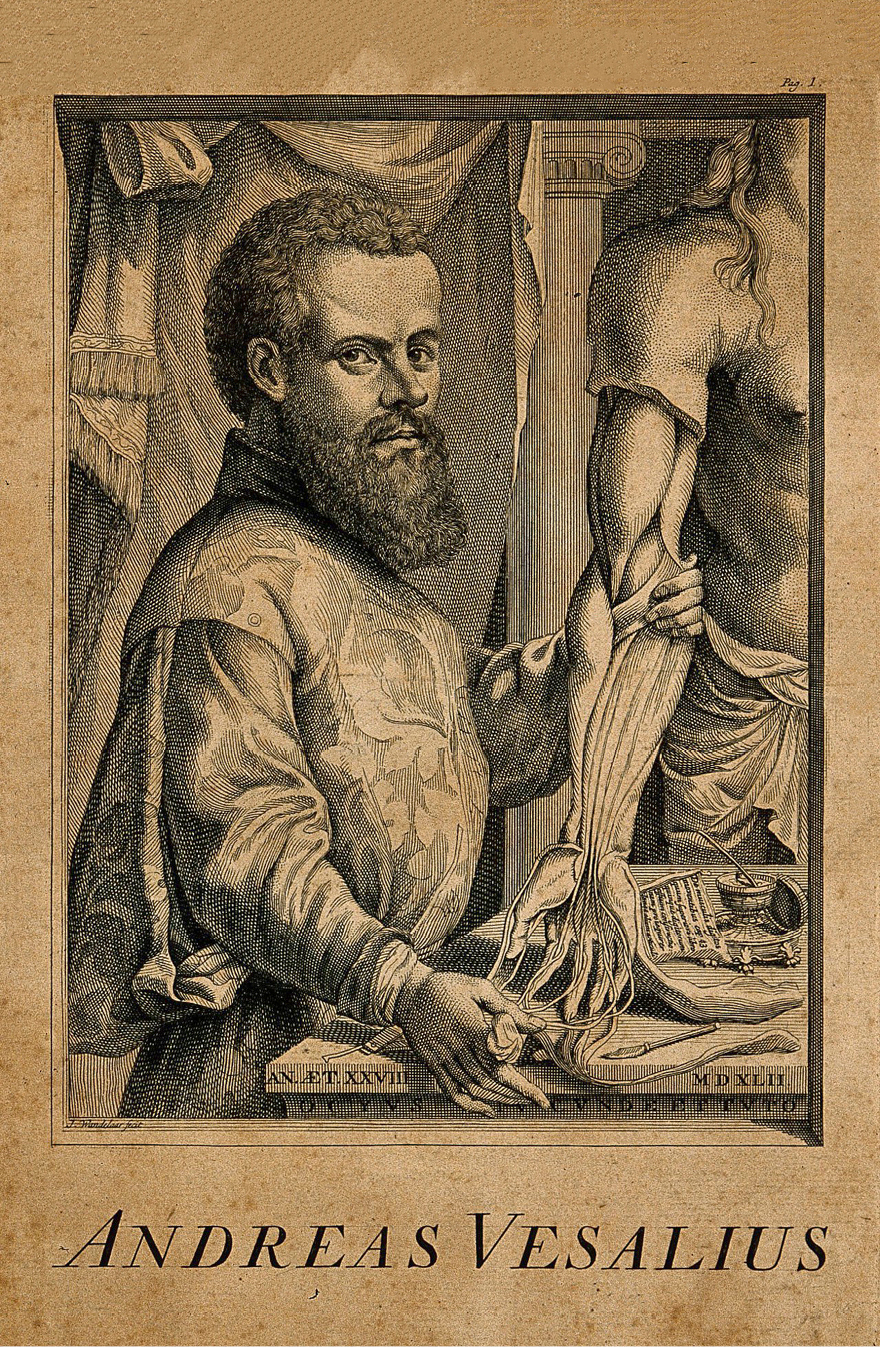 Figura 4. Andreas Vesalius (1514-1564).